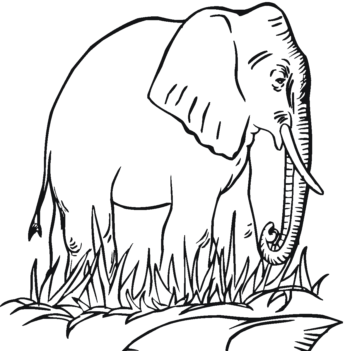 Free Printable Elephant Coloring Pages