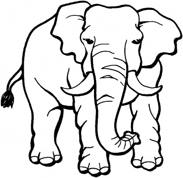 free printable elephant coloring pages for kids