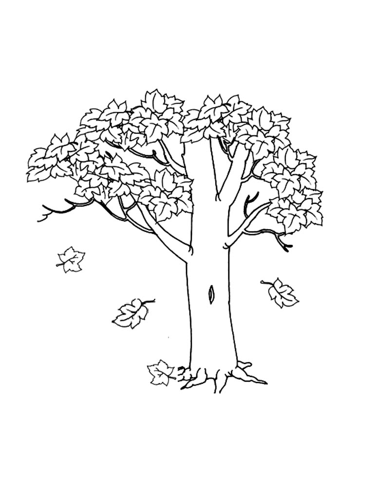 Fall Tree Coloring Page