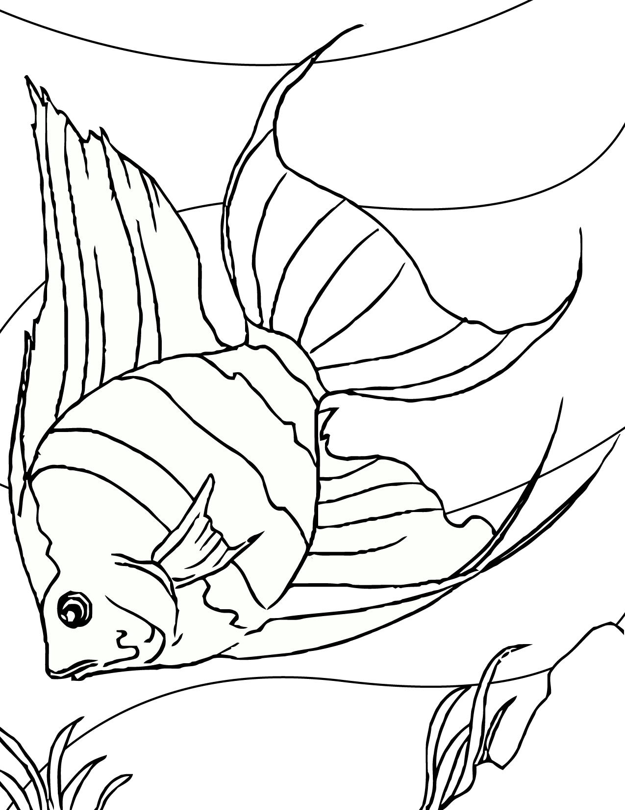 Free Printable Fish Coloring Pages For Preschoolers