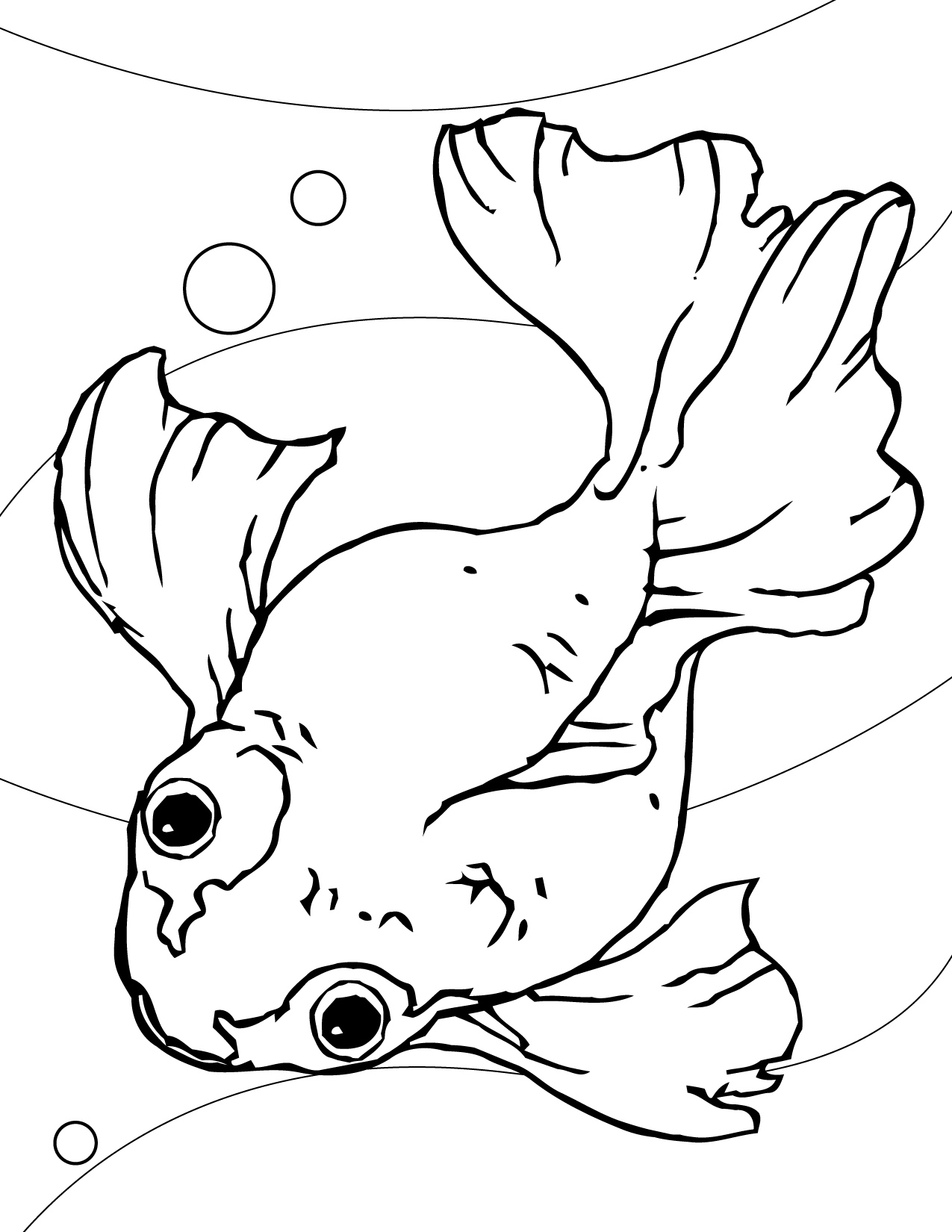 Free Printable Fish Coloring Pages For Kids Coloring Wallpapers Download Free Images Wallpaper [coloring654.blogspot.com]