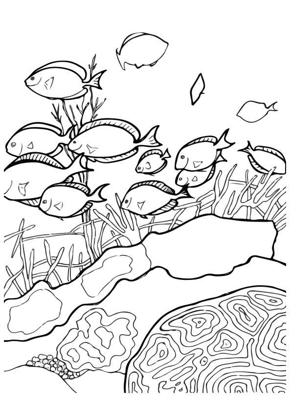 Fish In The Ocean Coloring Page