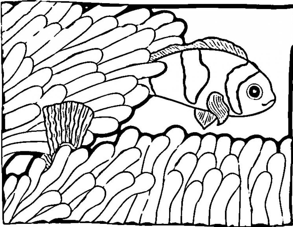 Fish In The Ocean Coloring Page