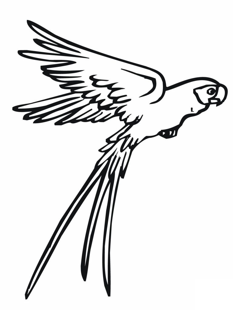 Flying Parrot Coloring Page