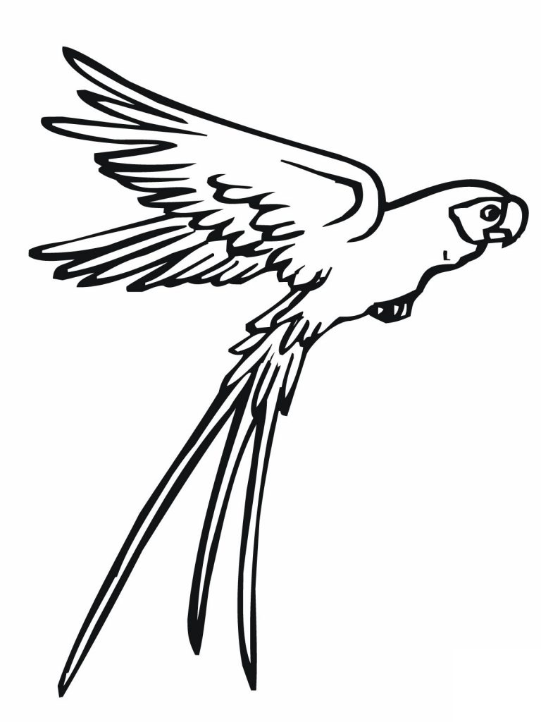 Free Printable Parrot Coloring Pages For Kids