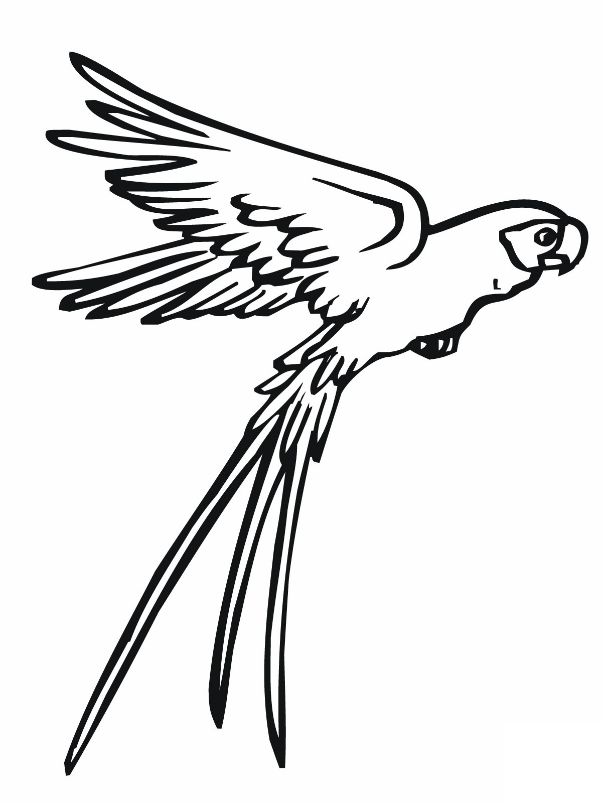 free printable parrot coloring pages for kids