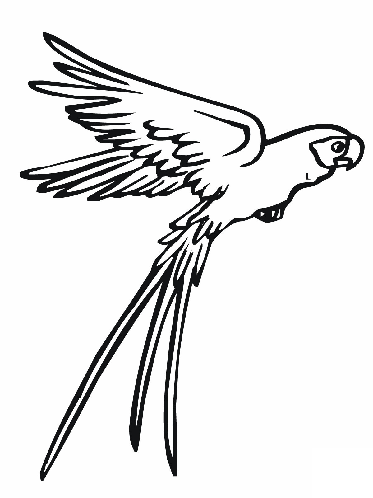 parrot-cartoon-drawing-clipart-panda-bocamawasuag