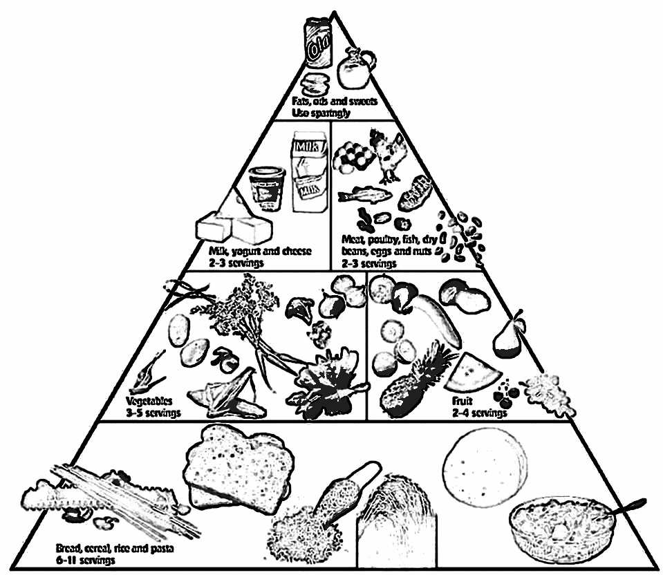 Food Pyramid Coloring Page 2