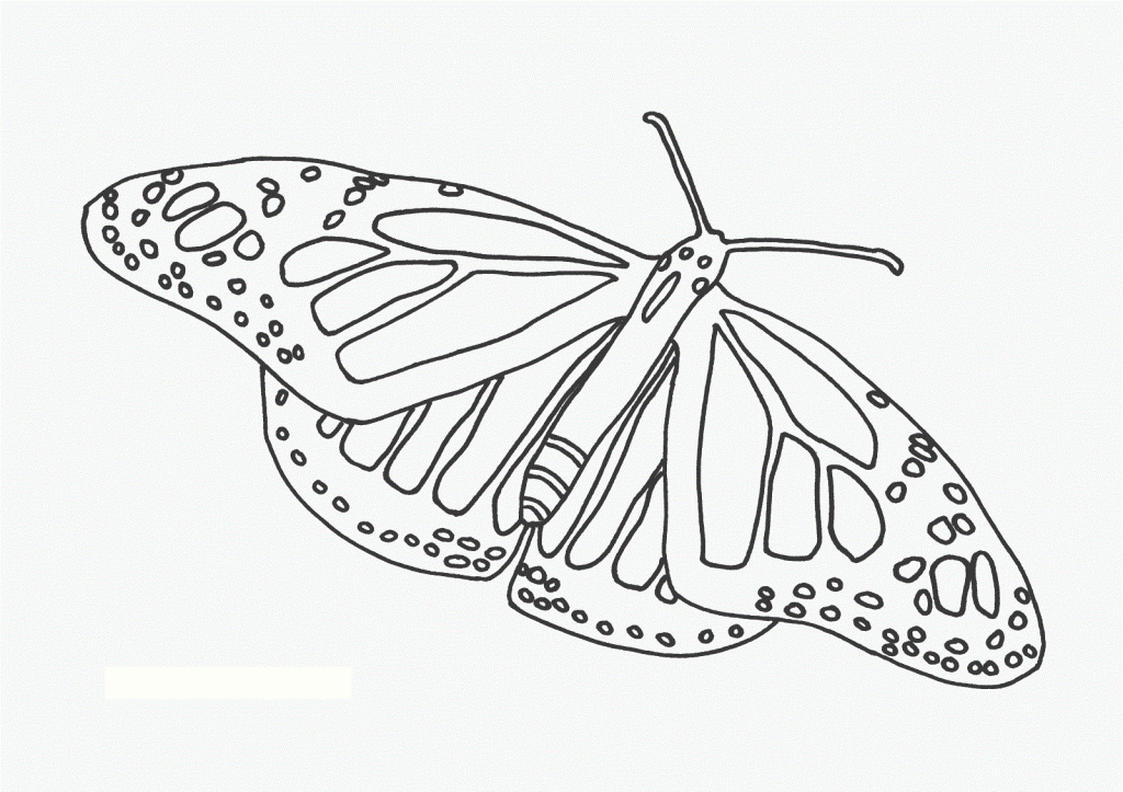 Free Butterfly Coloring Pages