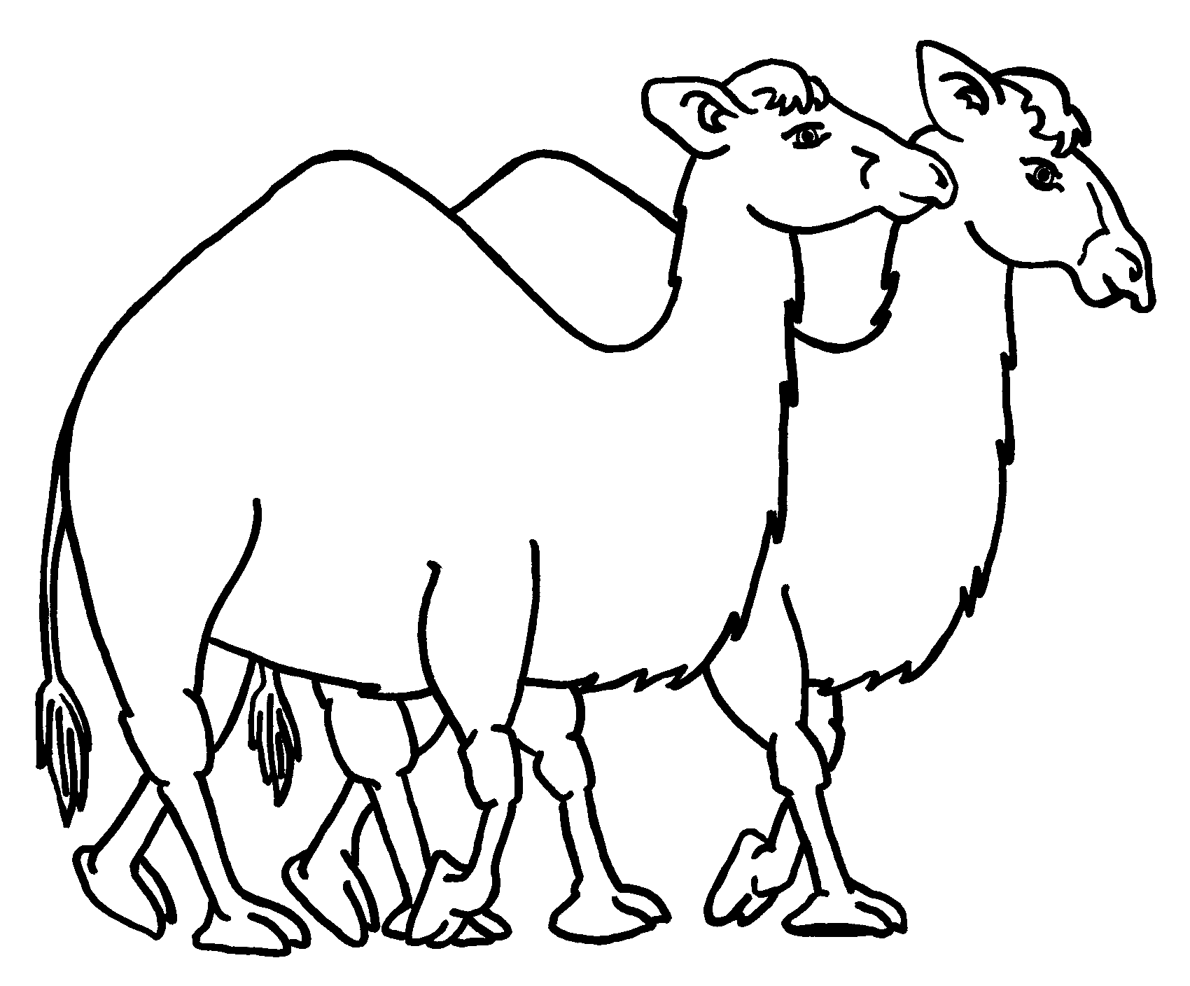 free-printable-camel-coloring-pages-for-kids