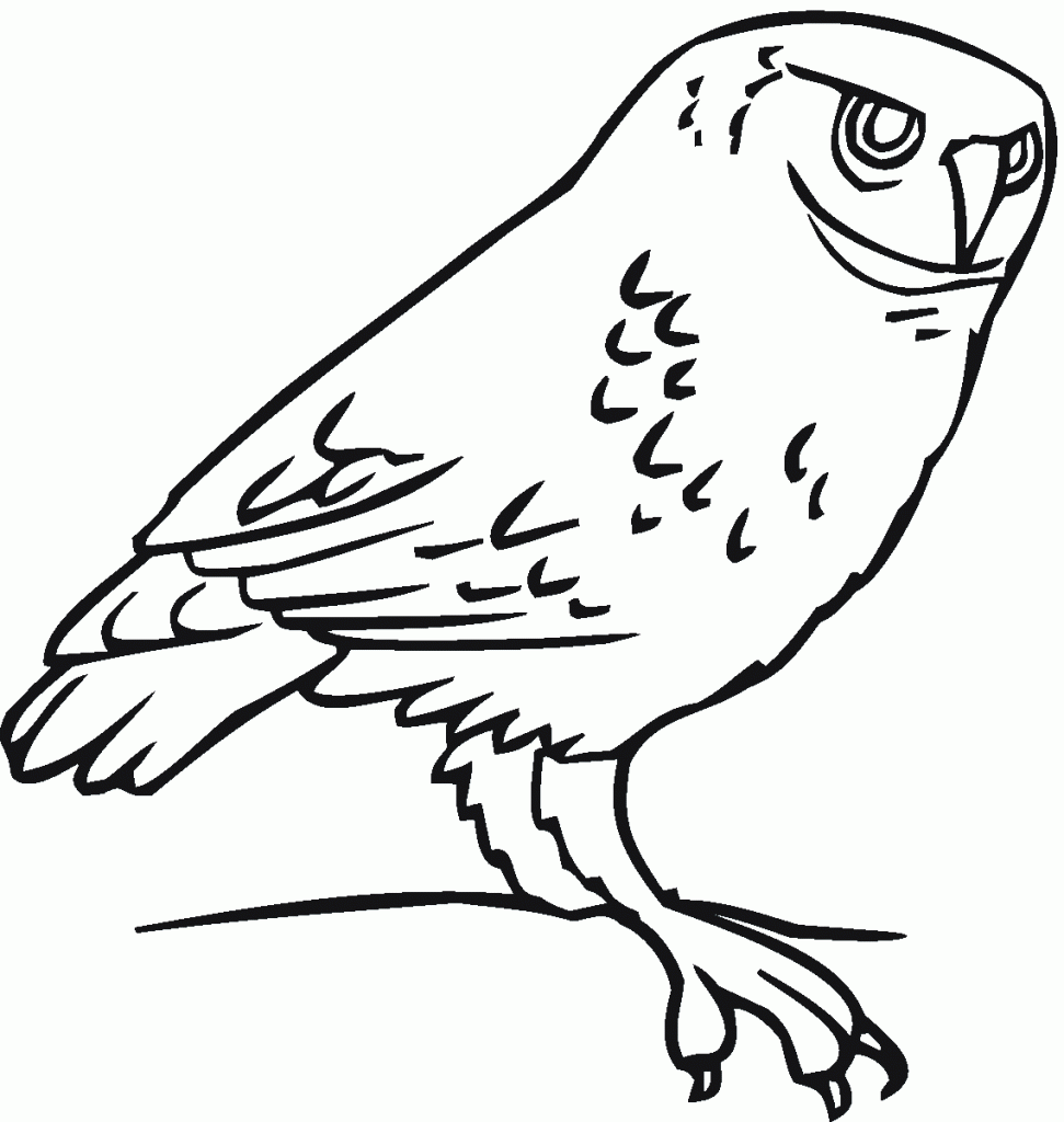 Free Coloring Pages Owls