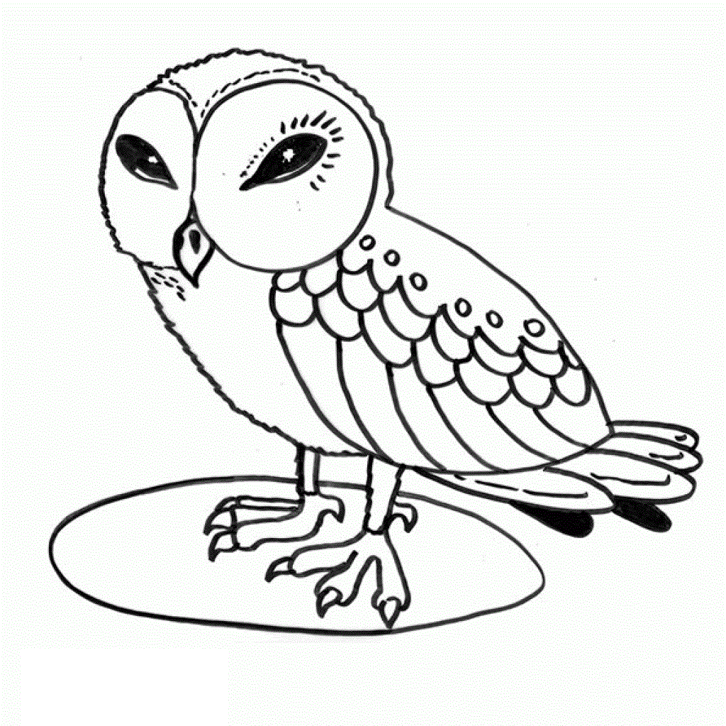 Printable Coloring Pages Of Owls