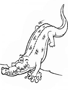 Free Printable Crocodile Coloring Pages For Kids