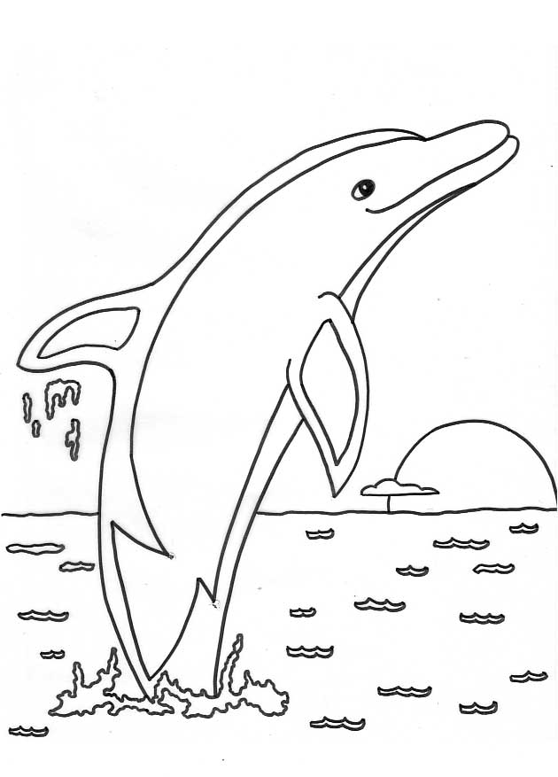 Free Printable Dolphin Coloring Pages For Kids Free Printable Dolphin Coloring Pages For Kids