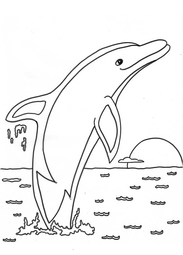  Free  Printable  Dolphin  Coloring  Pages  For Kids