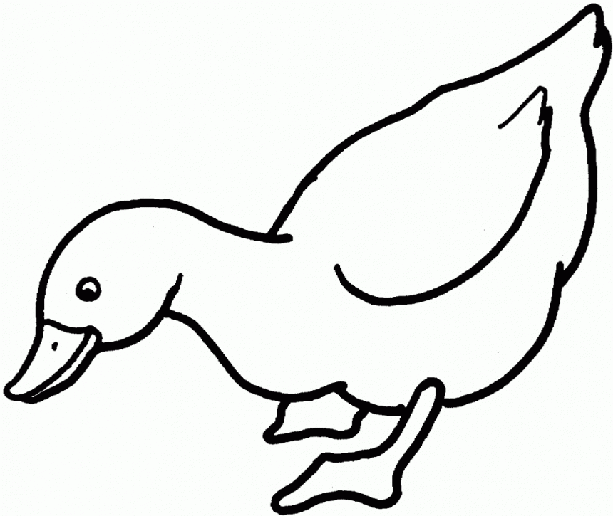 Duck Coloring Pages - Best Coloring Pages For Kids