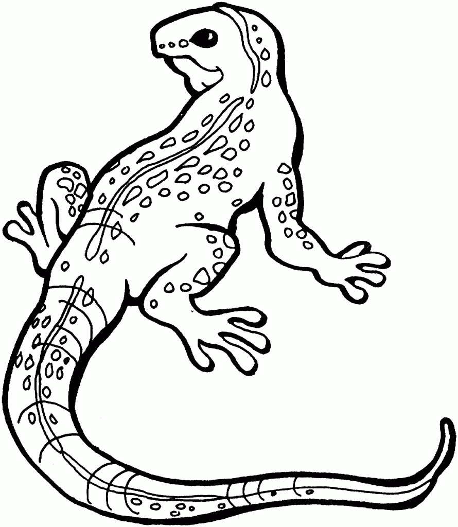 Free Lizard Coloring Pages For Kids