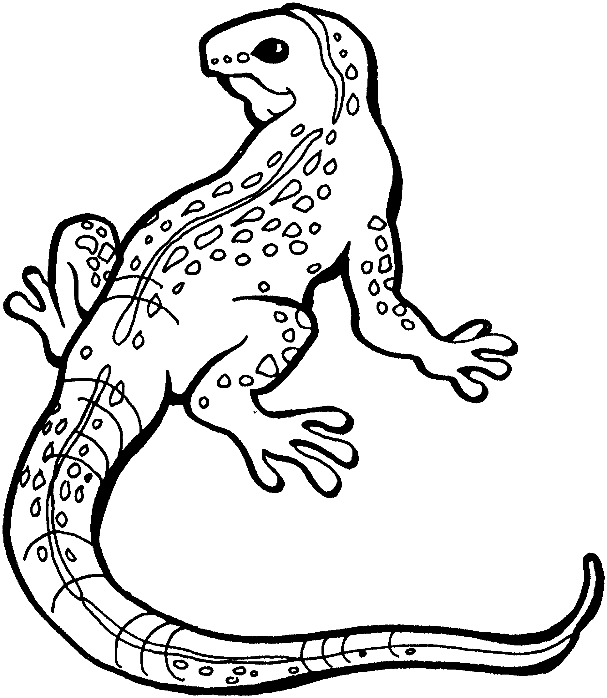 Desert Lizard Coloring Pages