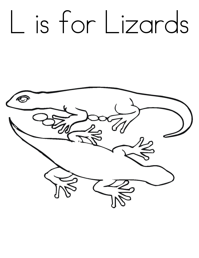 Free Printable Lizard Coloring Pages For Kids