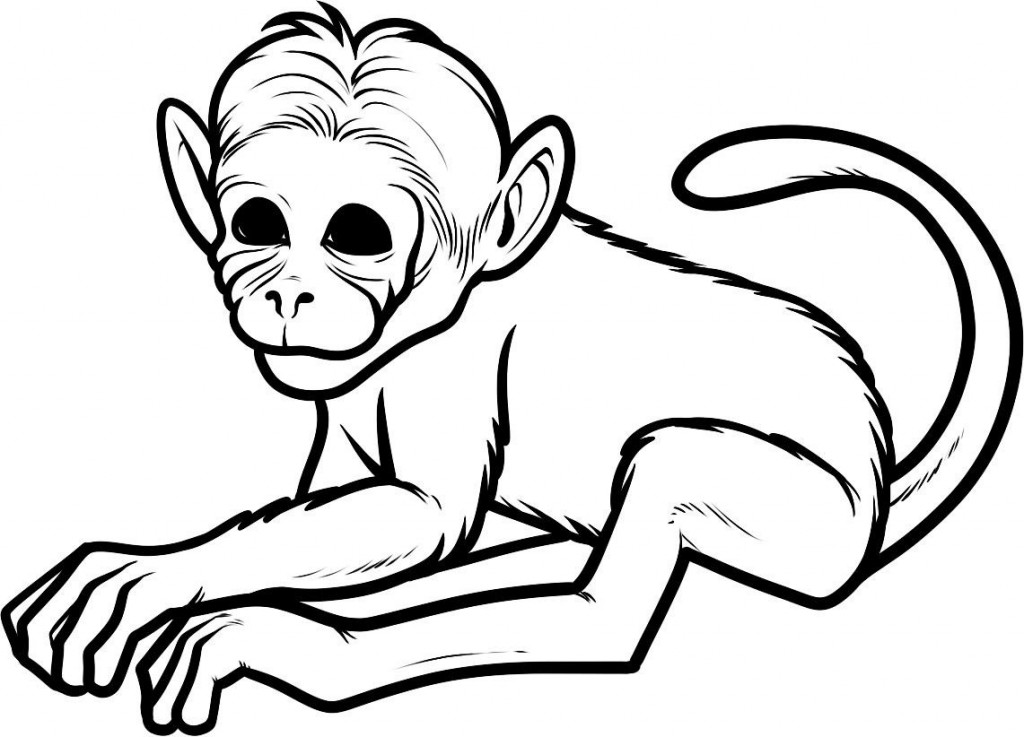 Monkey For Coloring 6