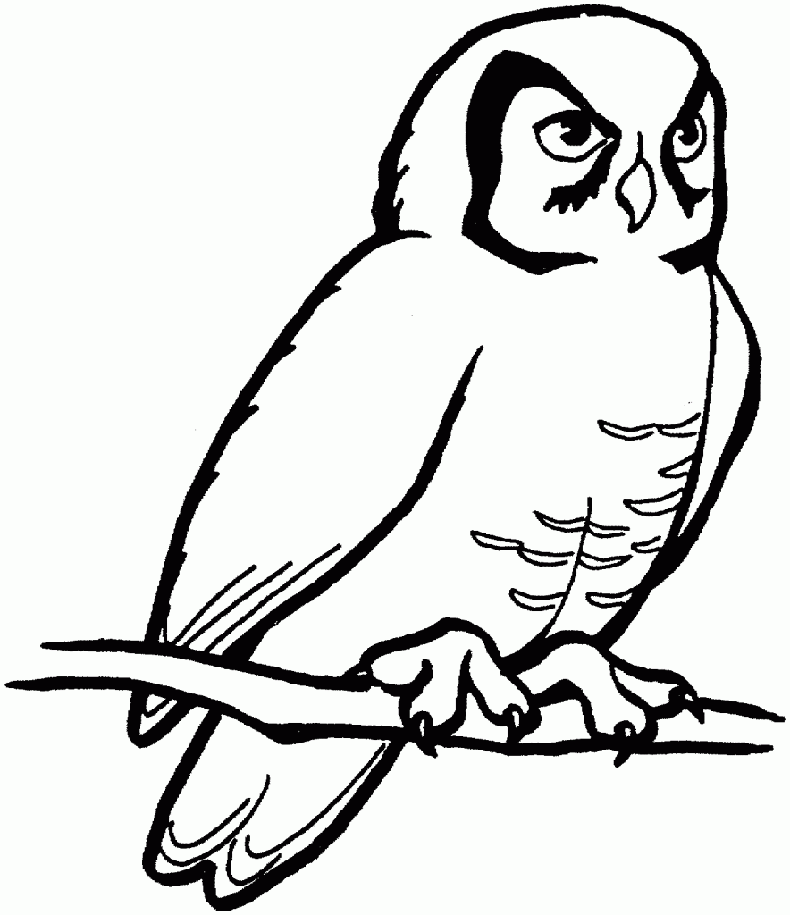 Free Printable Coloring Pages Owls