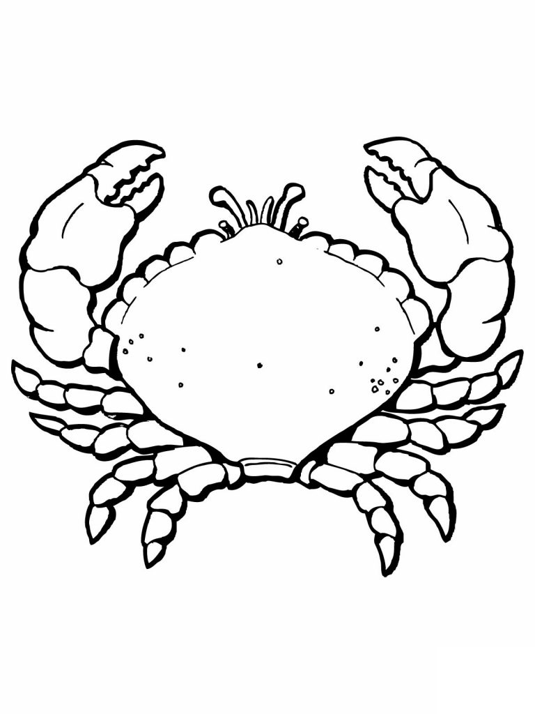 Free Printable Crab Coloring Pages