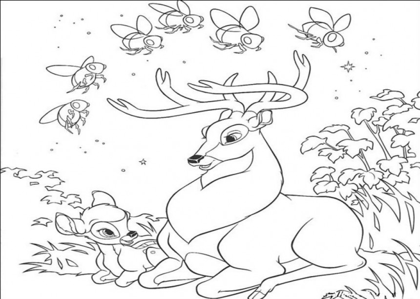 Free Printable Deer Coloring Pages