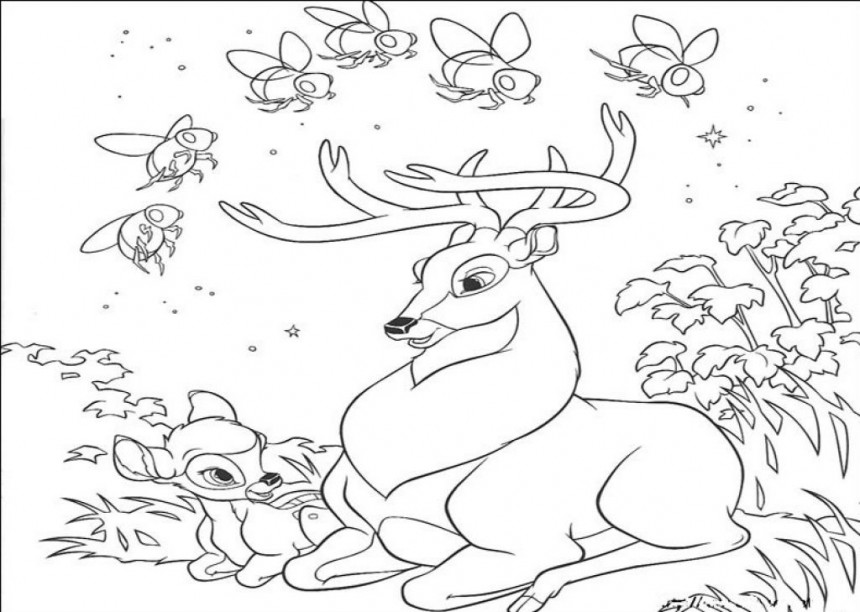  Free  Printable  Deer  Coloring  Pages  For Kids