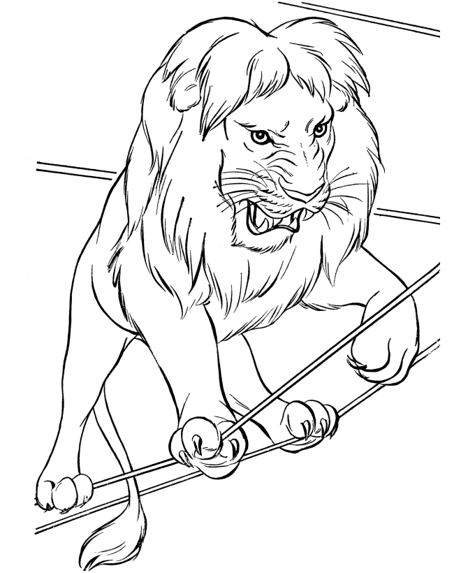 free printable lion coloring pages for kids