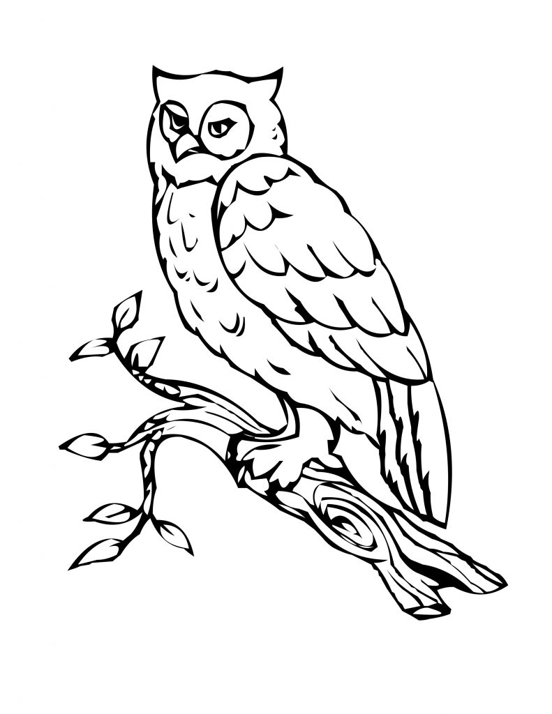 Pages de coloriage gratuites à imprimer sur le hibou