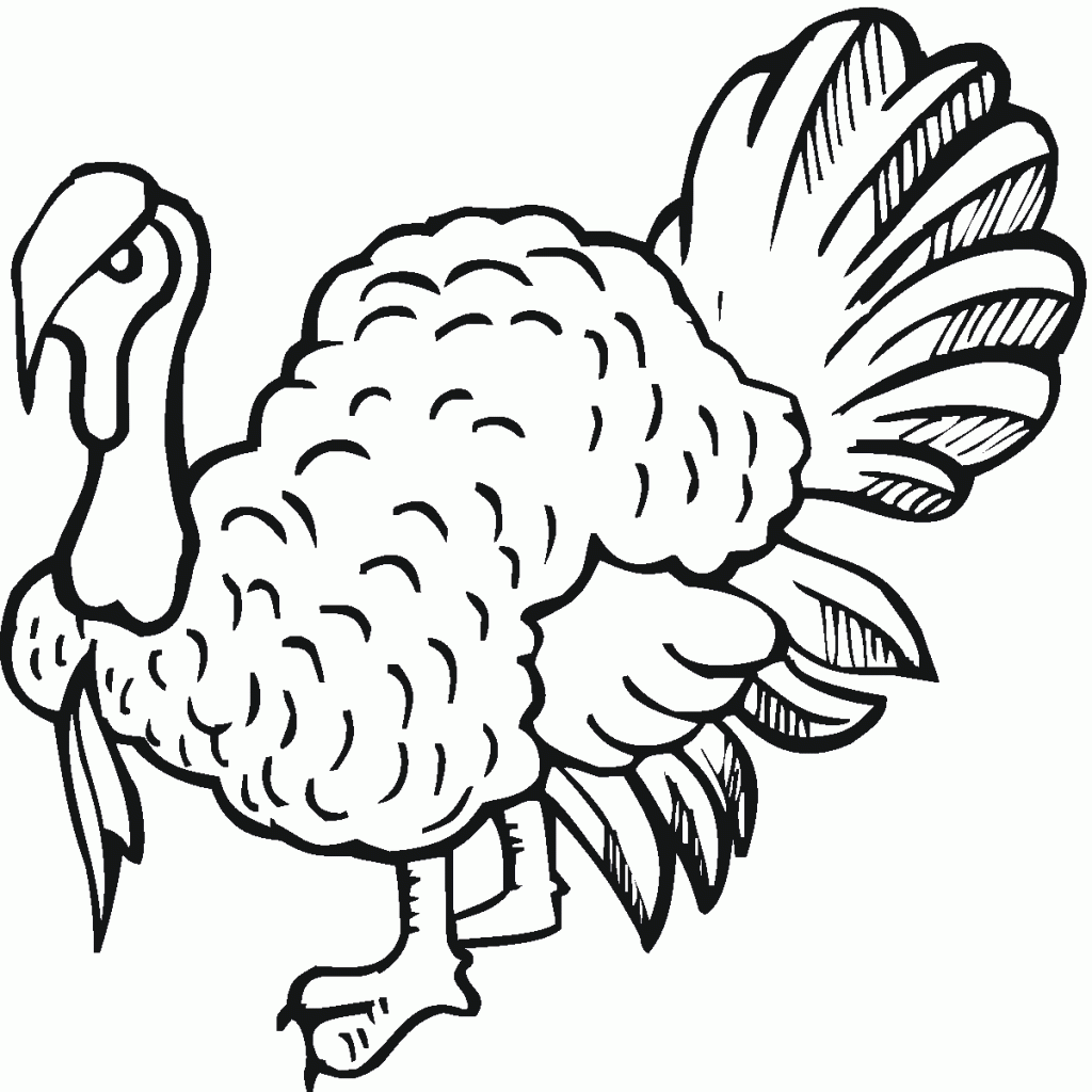 Free Printable Turkey Coloring Pages