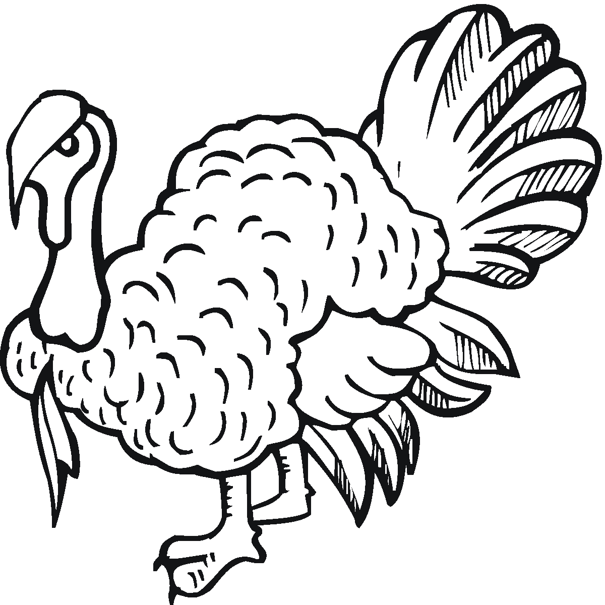 Free Printable Turkey Coloring Pages For Kids