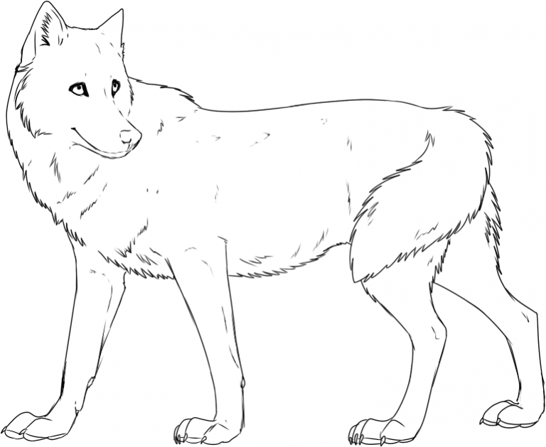 Free Printable Wolf Coloring Pages For Kids