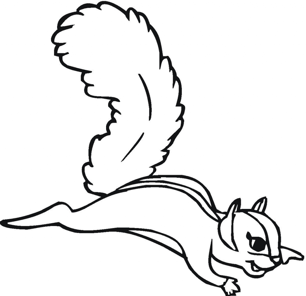 Free Squirrel Coloring Pages