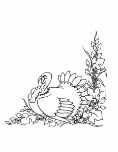 Free Printable Turkey Coloring Pages For Kids