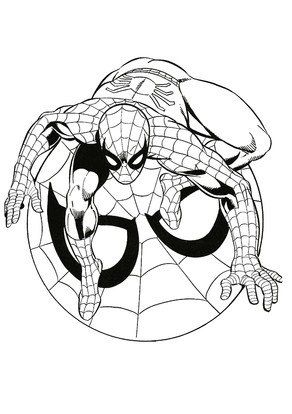 Download Free Printable Spiderman Coloring Pages For Kids