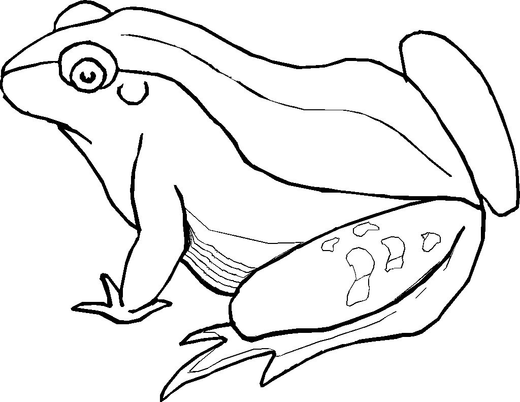 frog coloring pages