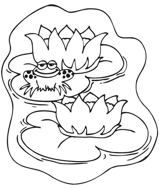 Frog On Lilipad Coloring Page