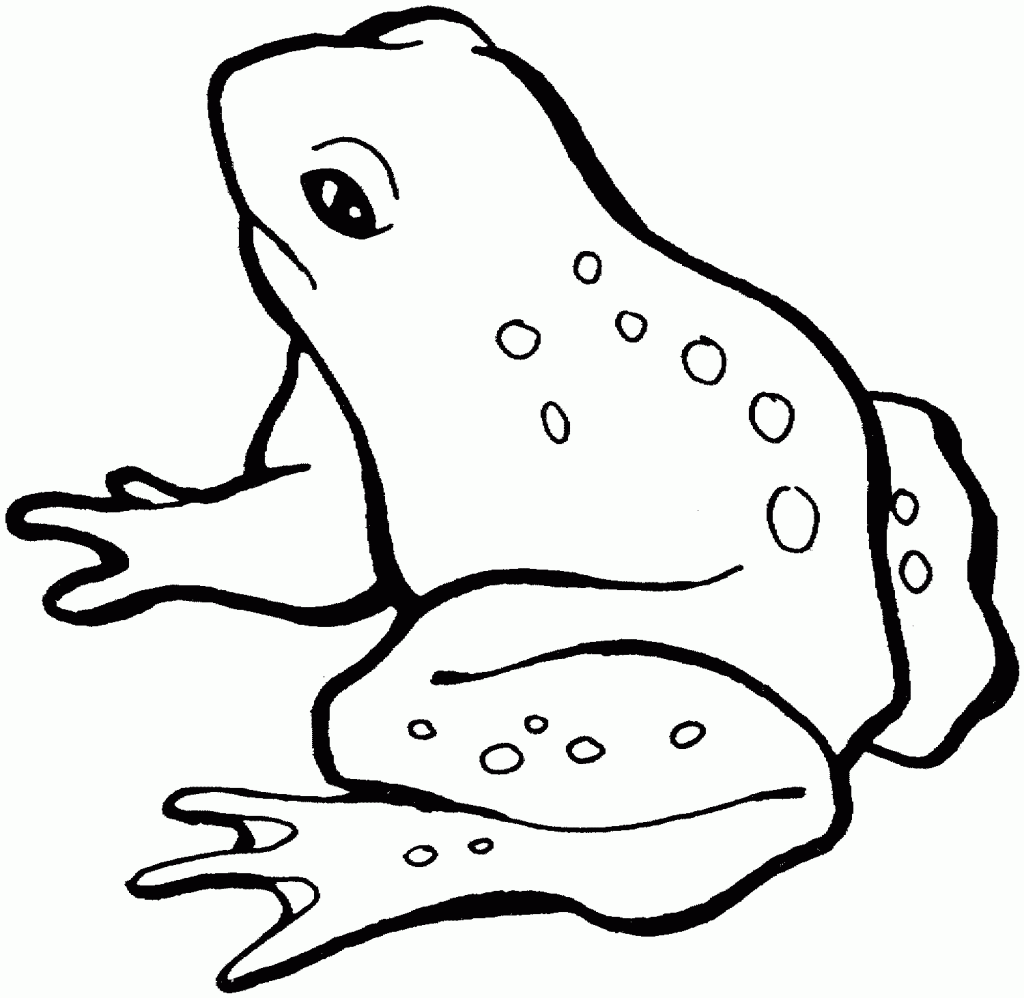 Frogs Coloring Page