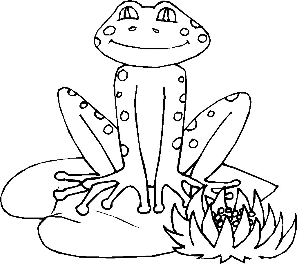 Frogs Coloring Pages For Kids