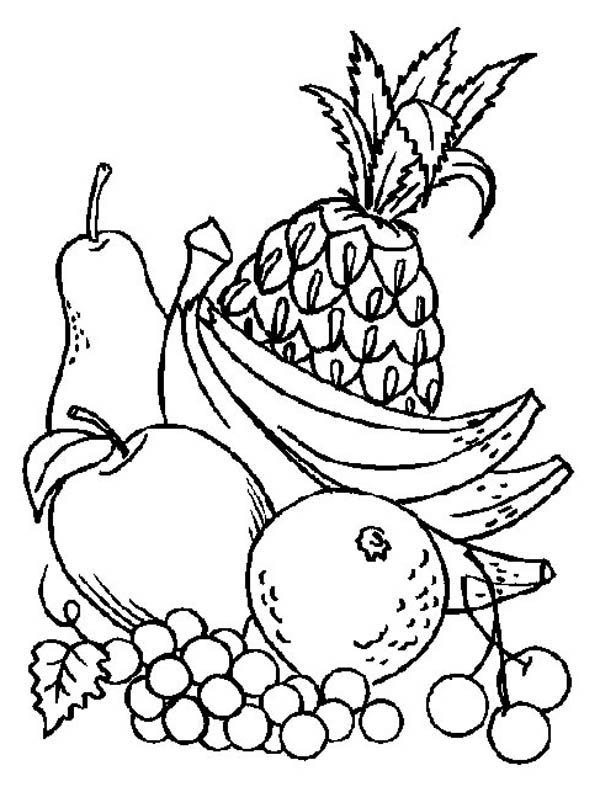 Fruit Harvest Coloring Page