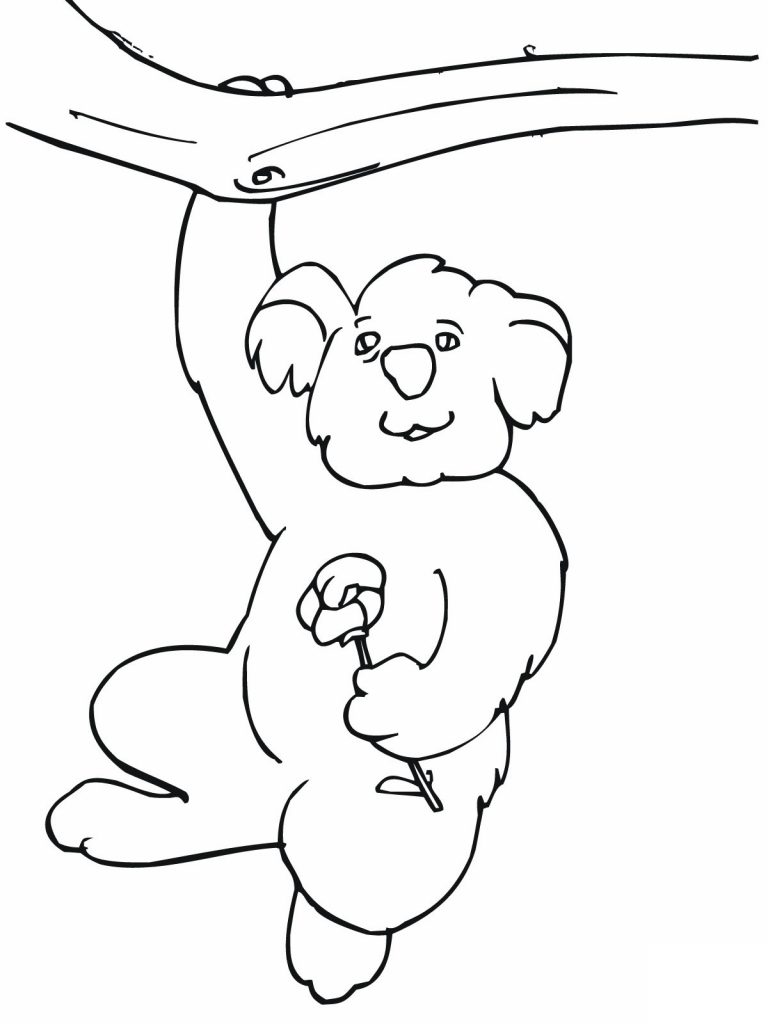 Funny Koala Coloring Pages