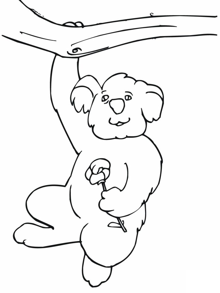 Download Free Printable Koala Coloring Pages For Kids