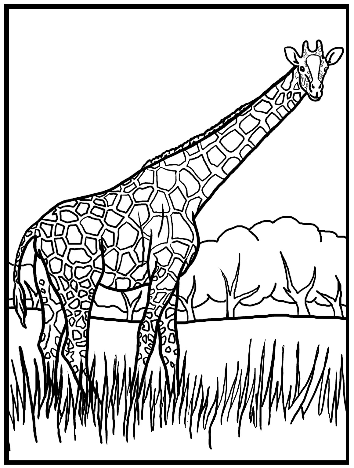 What Coloring Is A Giraffe Giraffe coloring pages kids print sheets ...