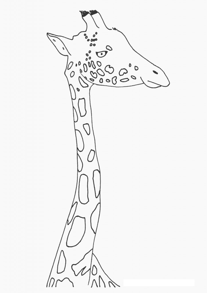 giraffe coloring pages