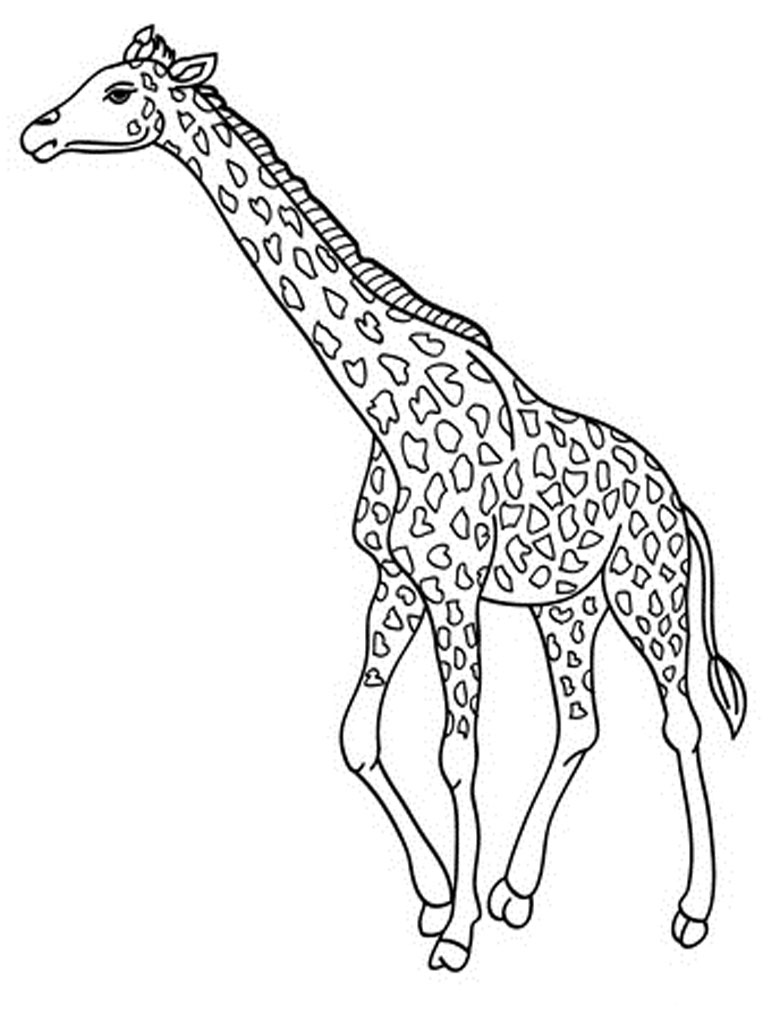 giraffe coloring pages