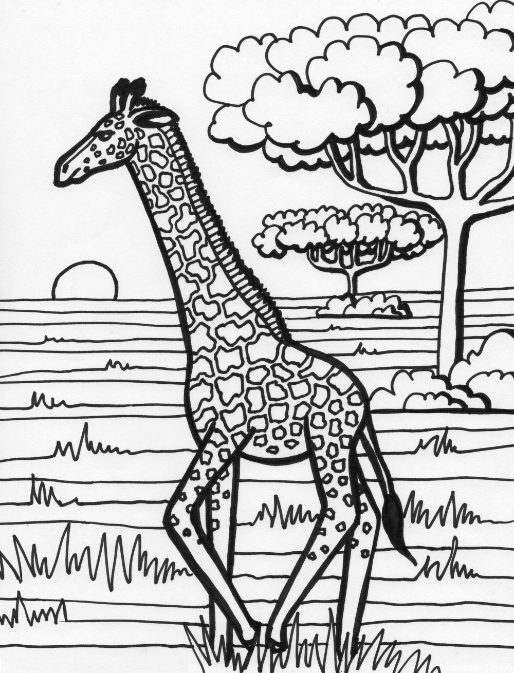 Giraffe Coloring Page Photo