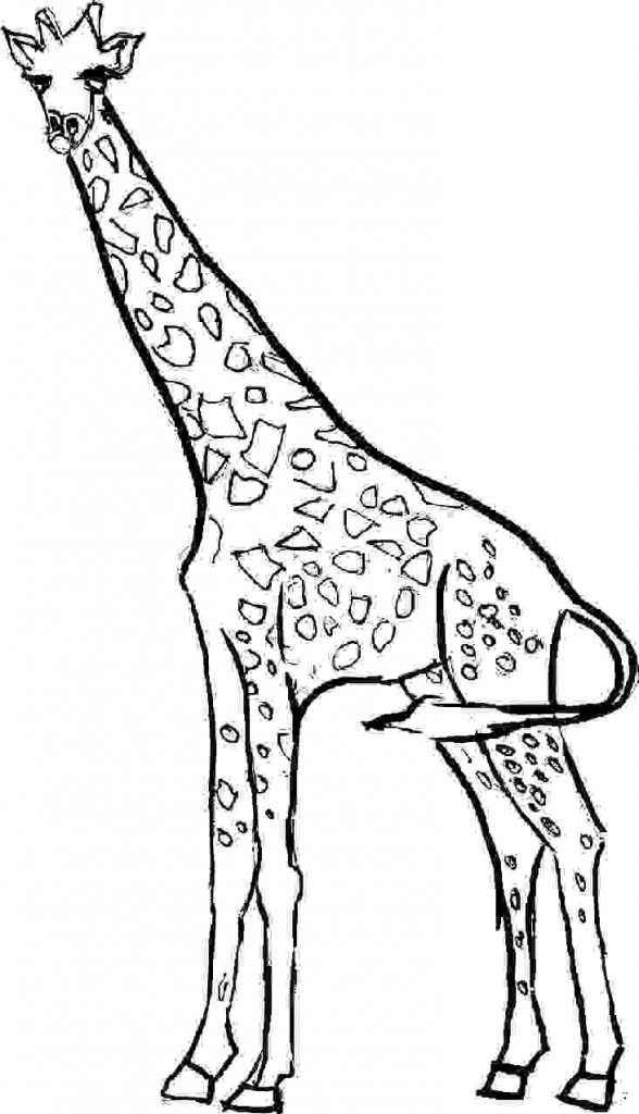 Printable Giraffe Coloring Pages Printable Word Searches