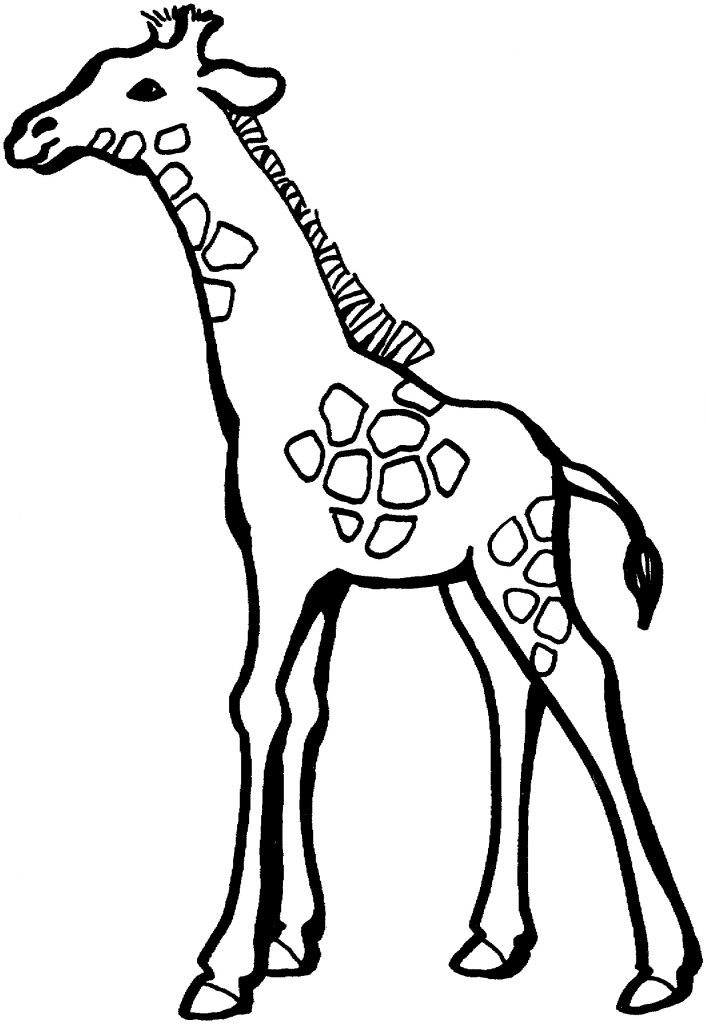 Download Free Printable Giraffe Coloring Pages For Kids