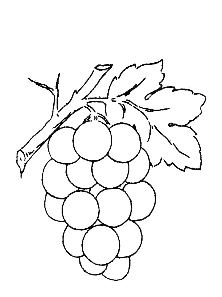 Grapes Fruit Coloring Page